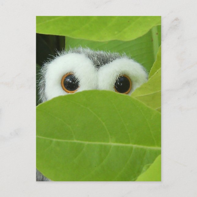 Flüchtige Blick-A-Boo Postkarte (Vorderseite)