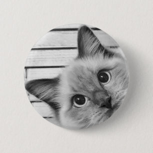 Flüchtige Blick-a-boo Ragdoll Button