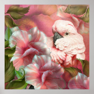 Flüchtiger Blick ein Boocockatoo-feine Poster