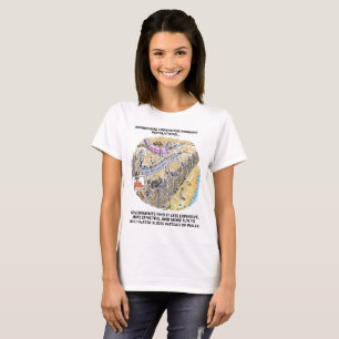 Flüchtlingswasser treibt T - Shirt von Frauen