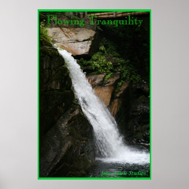 Fluchtruhe Poster (Vorne)