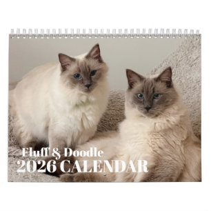 Fluff & Doodle 2026 Kalender