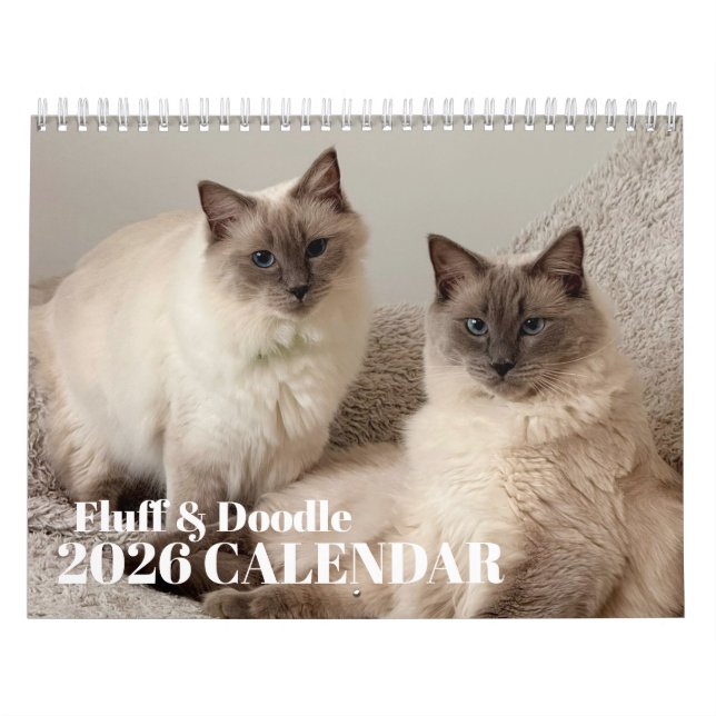Fluff & Doodle 2026 Kalender (Titelbild)