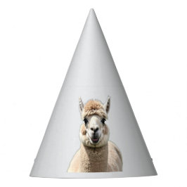 Fluff & Friendship Partyhütchen