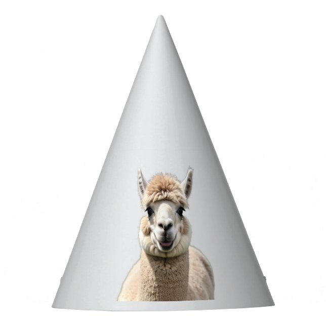 Fluff & Friendship Partyhütchen (Vorderseite)