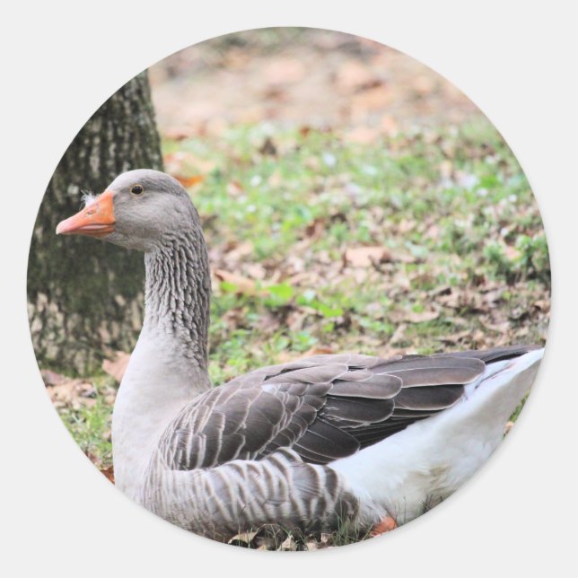 Fluff Runder Aufkleber (Vorderseite)