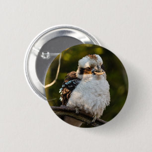 Fluffed up lacht kookaburra button
