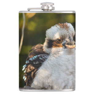 Fluffed up lacht kookaburra flachmann