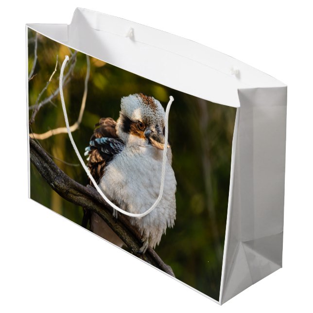 Fluffed up lacht kookaburra große geschenktüte (Rückseite Schrägansicht)
