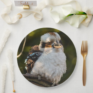 Fluffed up lacht kookaburra pappteller