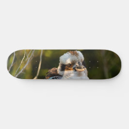 Fluffed up laughing kookaburra skateboard
