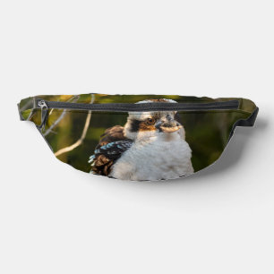 Fluffed up riant kookaburra