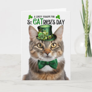 Fluffige getigerte Katze St. Patrick's Day Glücksb Feiertagskarte