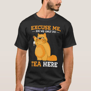 Fluffige mürrische Katze zum Tee