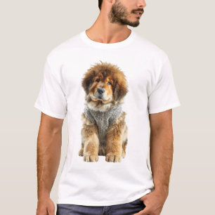 Fluffiger tibetischer Mastiff-Welpe in grauem Stri T-Shirt
