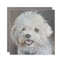 Fluffiger Weißer Hund Magnet