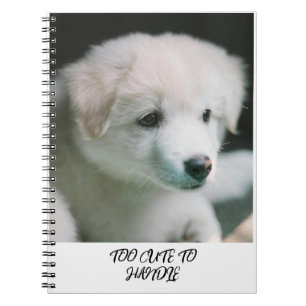 "Fluffiger Weißer Hundewelpe Charme" Notizblock