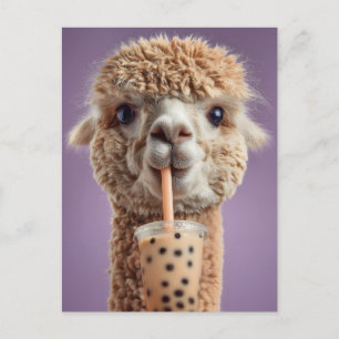 Fluffiges Alpaka-Porträt beim Trinken von Boba-Bub Postkarte