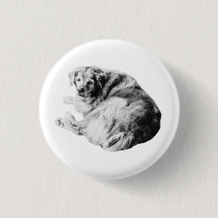 Fluffiges Nest, freundlicher Blick Button