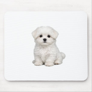 Fluffiges weißes Malteser-Welpenportrait Süßer Hun Mousepad