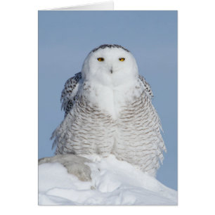 Fluffy