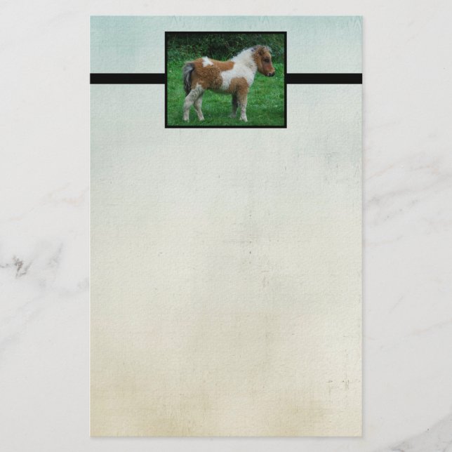 Fluffy Adorable Dartmoor Pony Briefpapier (Vorderseite)