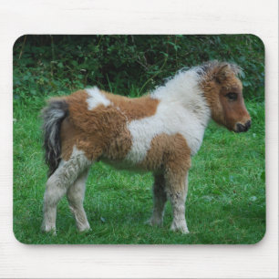 Fluffy Adorable Dartmoor Pony Mousepad