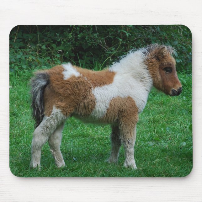 Fluffy Adorable Dartmoor Pony Mousepad (Vorne)