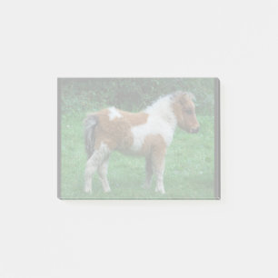 Fluffy Adorable Dartmoor Pony Post-it Klebezettel