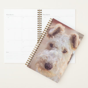 Fluffy Airedale Welsh Terrier Type Chien Chien Chi