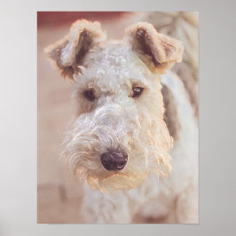 Fluffy Airedale Welsh Terrier Type Doppy Welpe Poster