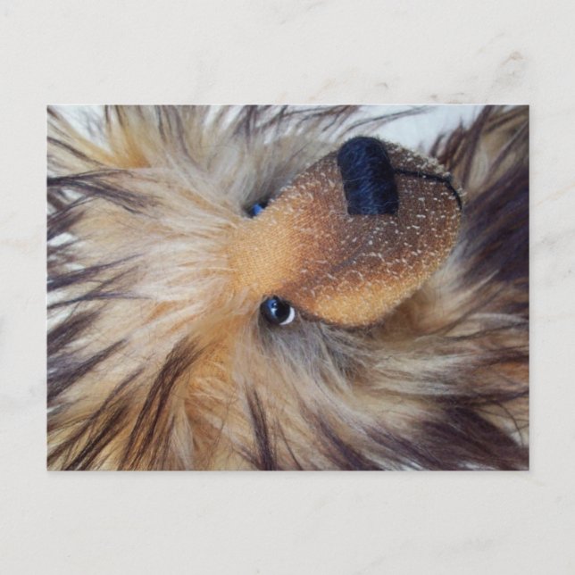 Fluffy Bear Postkarte (Vorderseite)