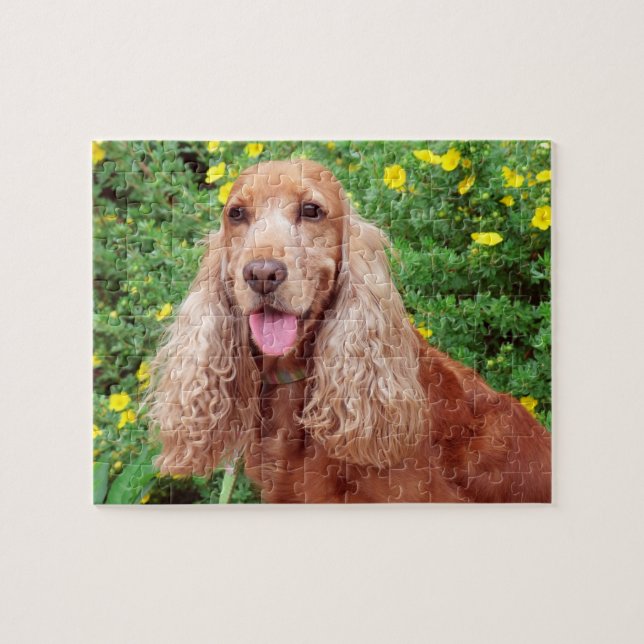 Fluffy Brown Dog (Horizontal)