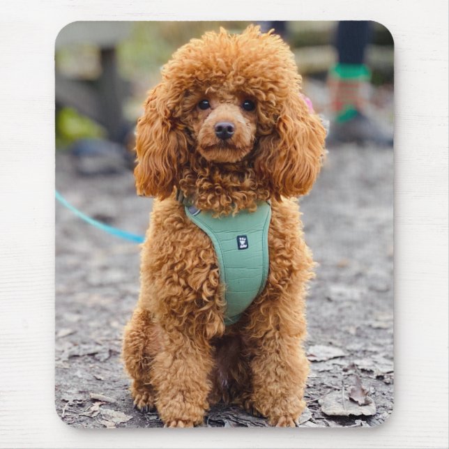 Fluffy Brown Poodle Puppy Dog Mousepad (Vorne)