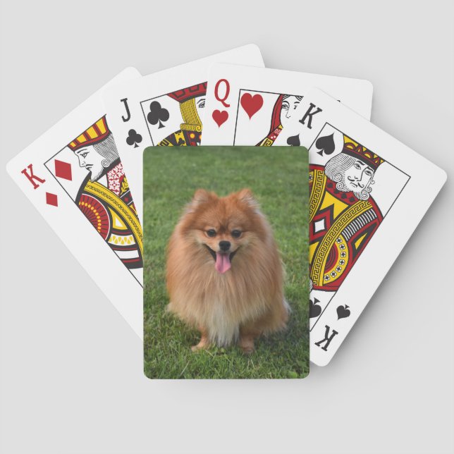 Fluffy Brown Spitz Puppy Dog Spielkarten (Rückseite)