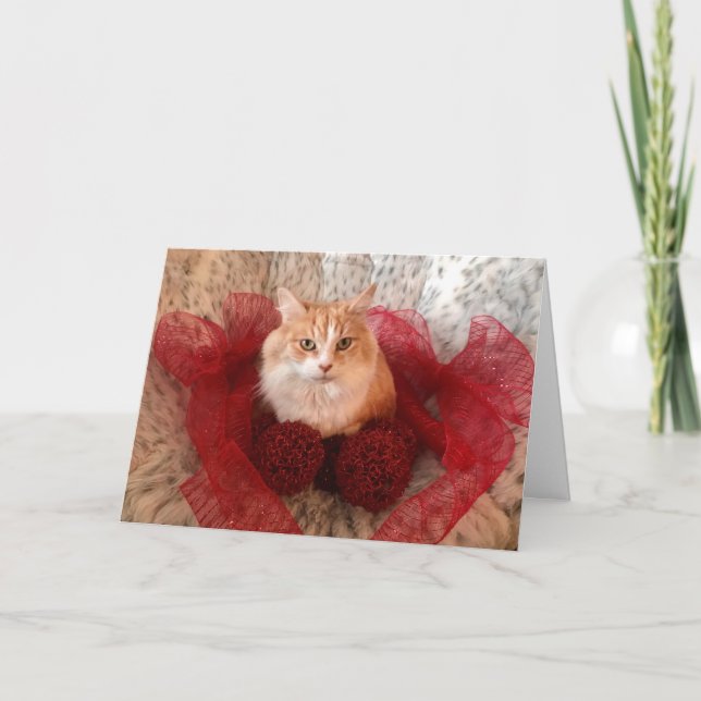 Fluffy Cat and Red Ribbon Holiday Greeting Card Karte (Vorderseite)