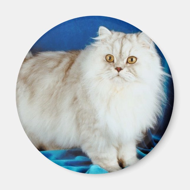 Fluffy Cat Magnet (Vorne)