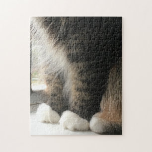 Fluffy Cat Paws