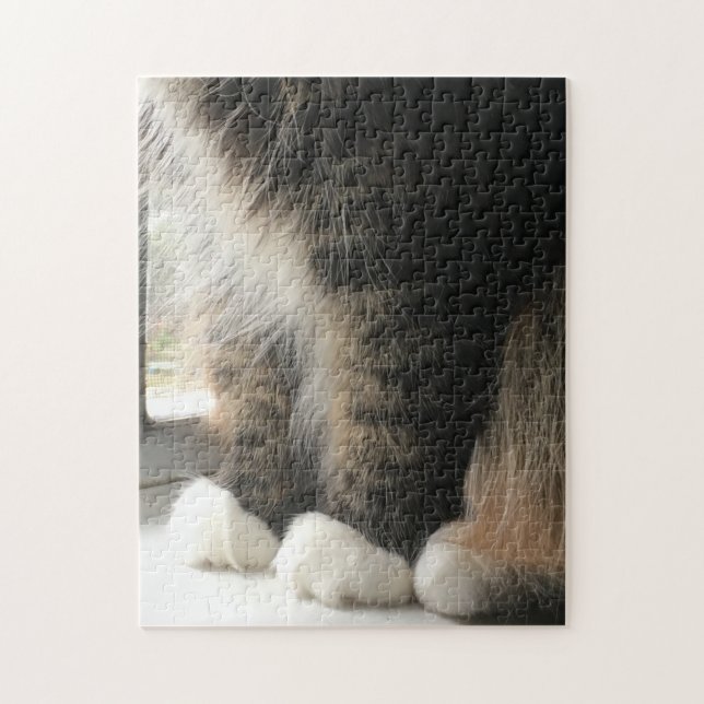Fluffy Cat Paws (Vertikal)