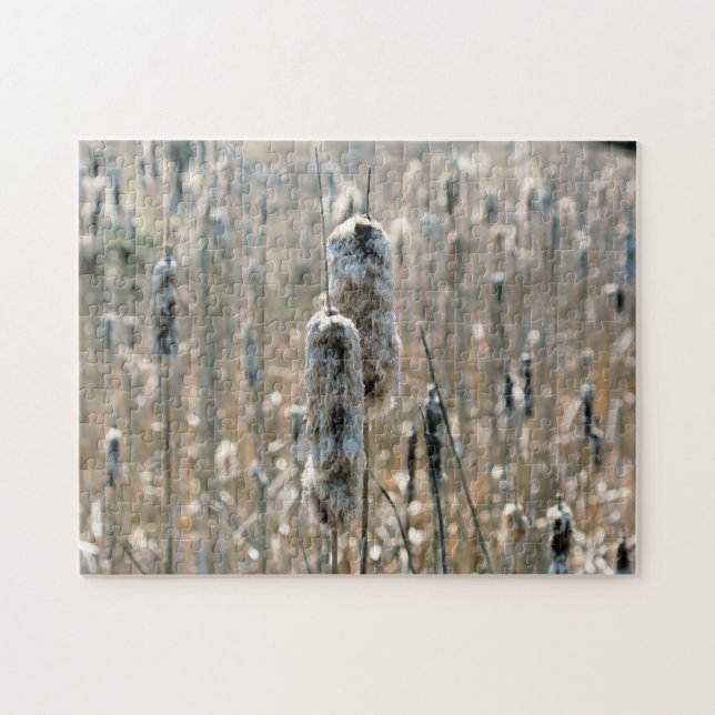 Fluffy Cattails im Frühling (Horizontal)