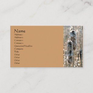 Fluffy Cattails Nature Fotografy Business Card Visitenkarte