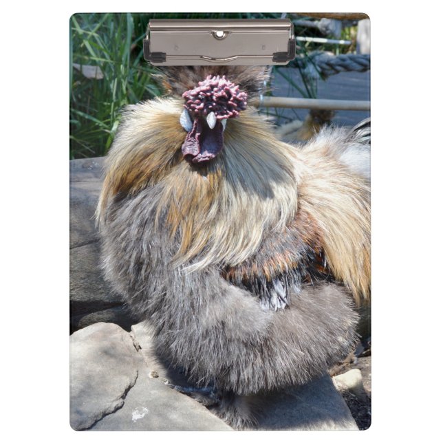 Fluffy Charm Imperfekt: Ein einzigartiges Silky Ro Klemmbrett (Vorderseite)
