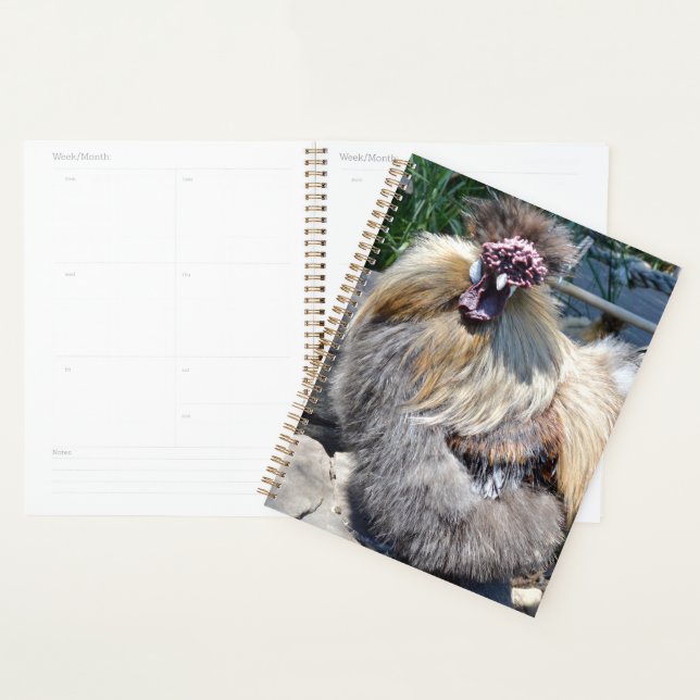 Fluffy Charm Imperfekt: Ein einzigartiges Silky Ro Planer (Anzeige)