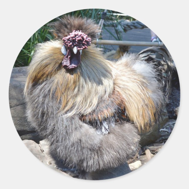 Fluffy Charm Imperfekt: Ein einzigartiges Silky Ro Runder Aufkleber (Vorderseite)