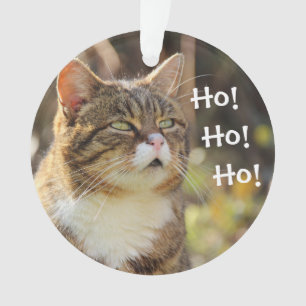 Fluffy Chat Noël mignonne