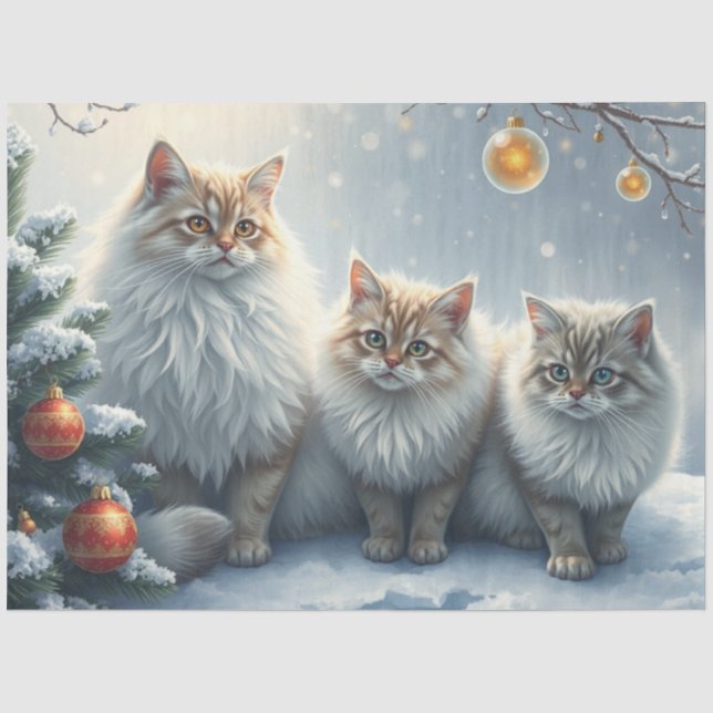 Fluffy Christmas Cats Tissue Paper Seidenpapier (Vorderseite)