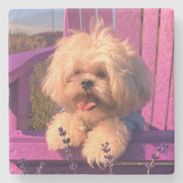 Fluffy Cute Shih Tzu Toy Puppy, Happy Dog Sitting Steinuntersetzer