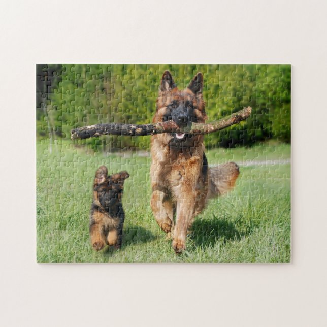 Fluffy German Shepherd Dog and Puppy (Horizontal)