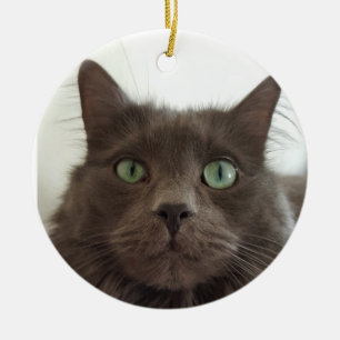 Fluffy Gray Cat Keramik Ornament
