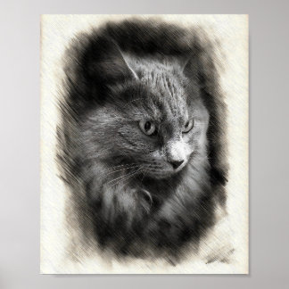 Fluffy Gray Cat Sketch - Soft Feline Portrait Art Poster